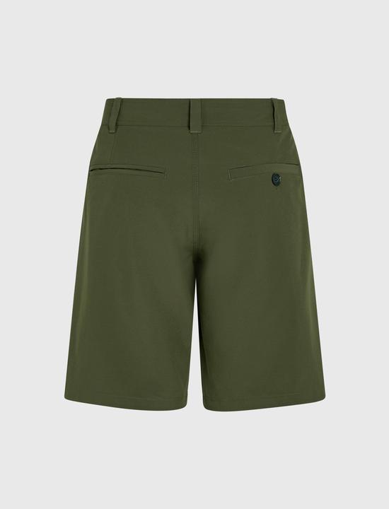 Actual product image O'Neill Hybrid Chino 19 Shorts (36)