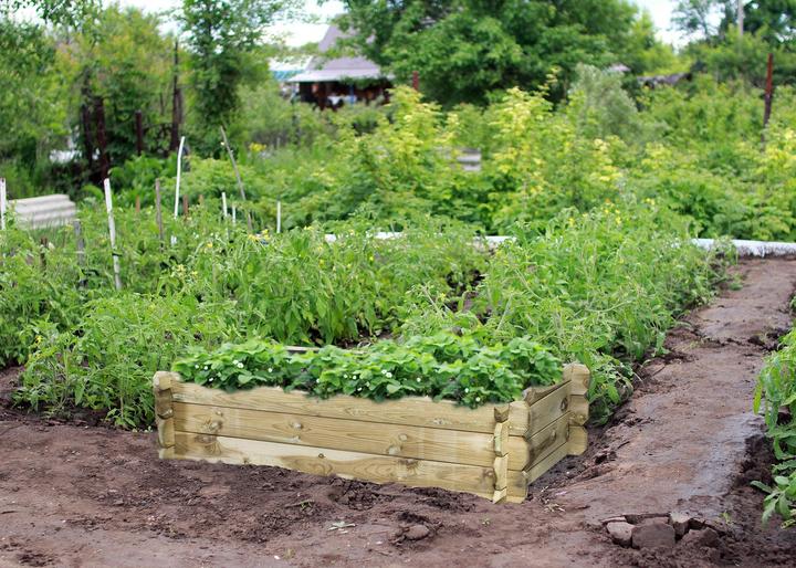 Produktbild Siena Garden Tom