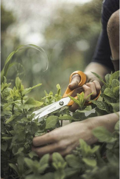 Image du produit Fiskars Ciseaux universels (21 cm)