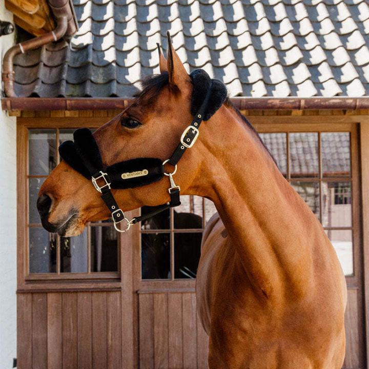 Actual product image Kentucky Horsewear sheepskin halter