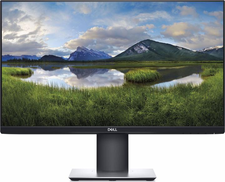Dell P2421D (2560 x 1440 Pixel, 24")