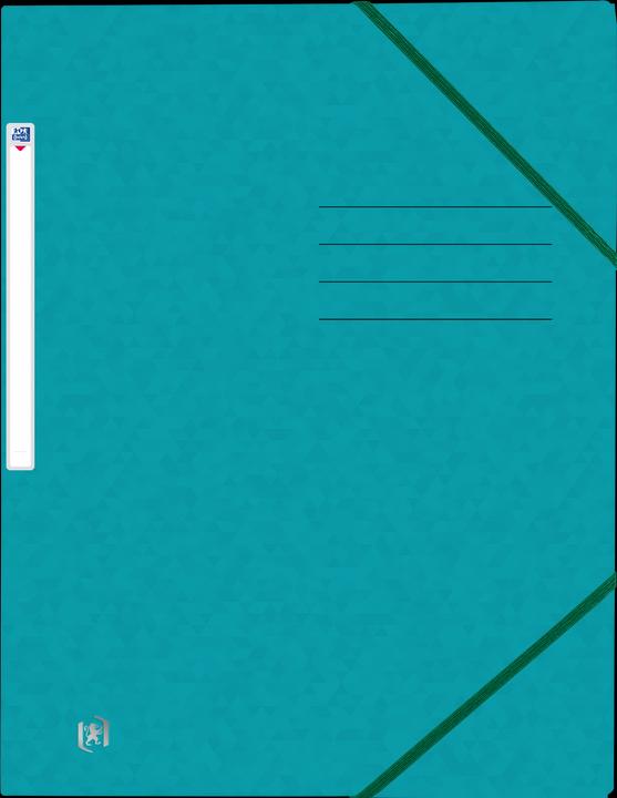 Immagine prodotto Oxford Raccoglitore angolare TOP FILE+, A4 (A4, 1 x)