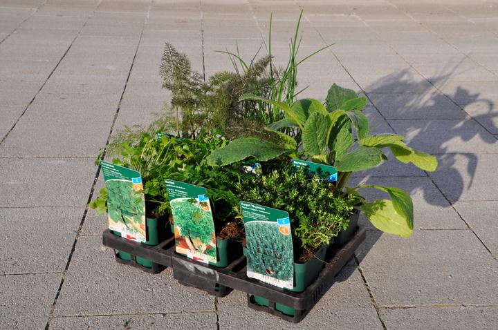 Image du produit Frikarti Ensemble de jardin potager