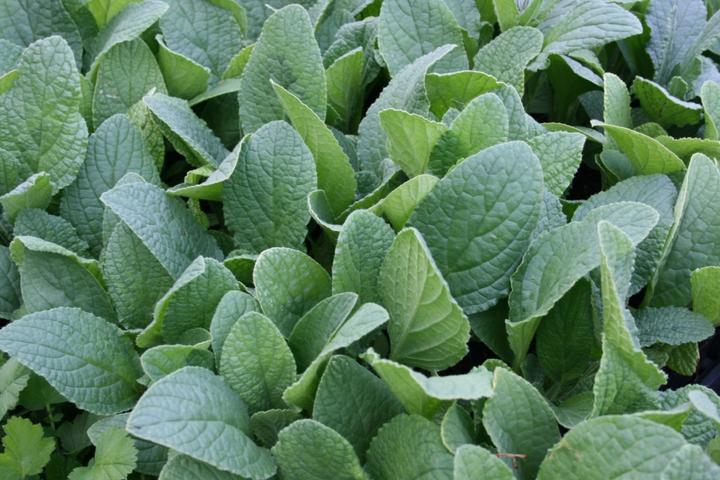 Image du produit Frikarti Ensemble de jardin potager