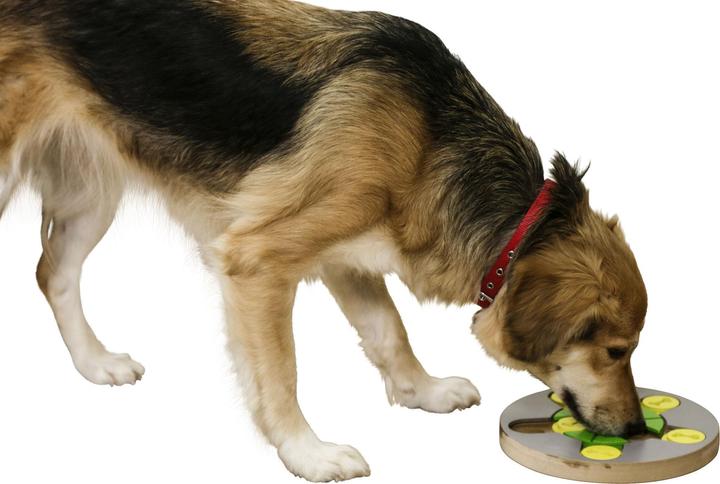 Produktbild Kerbl Denk- und Lernspielzeug EASY 28x15x2,7cm (Intelligenzspielzeug Hund)