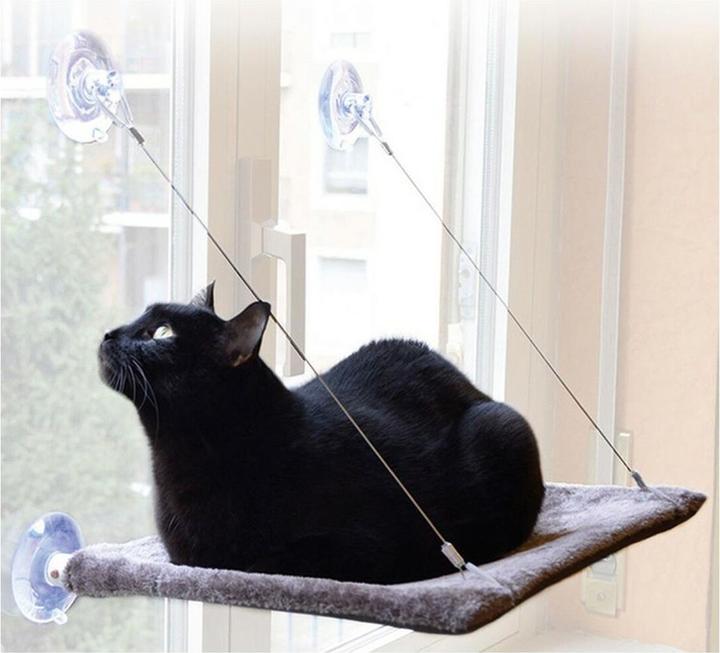 Image du produit United Pets Cat View (Chat)