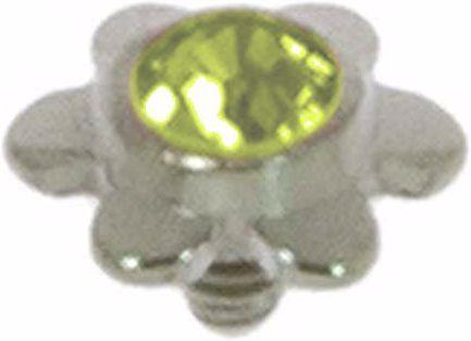 Image du produit Bijouteria Embout Dermal-Anchor (Cristallin, Titane)