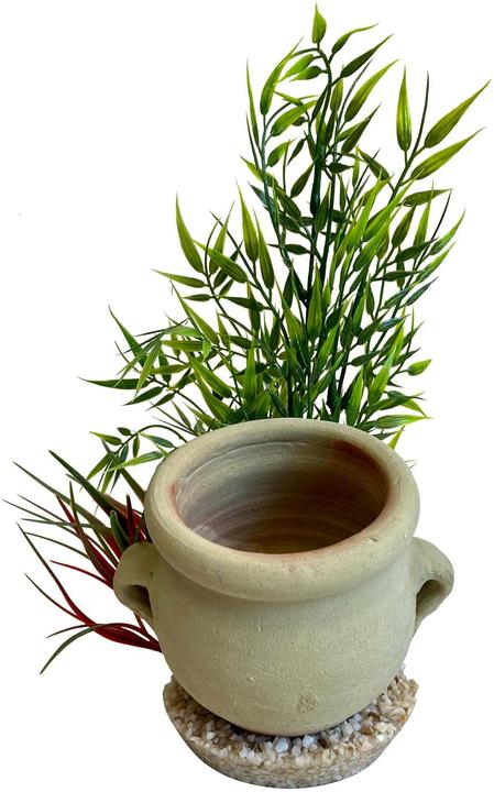 Produktbild Sydeco Dekoration Air Diffuser Jar Plant, 35 x 12 x 12 cm (Pflanzen, sonstige Gegenstände)