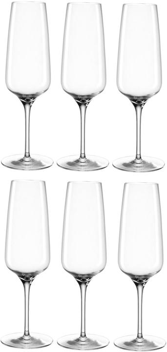 Actual product image Leonardo Champagne glass Cesti 240 ml, 6 pieces, grey/transparent (24 cl, 6 Glasses, Champagne glasses)