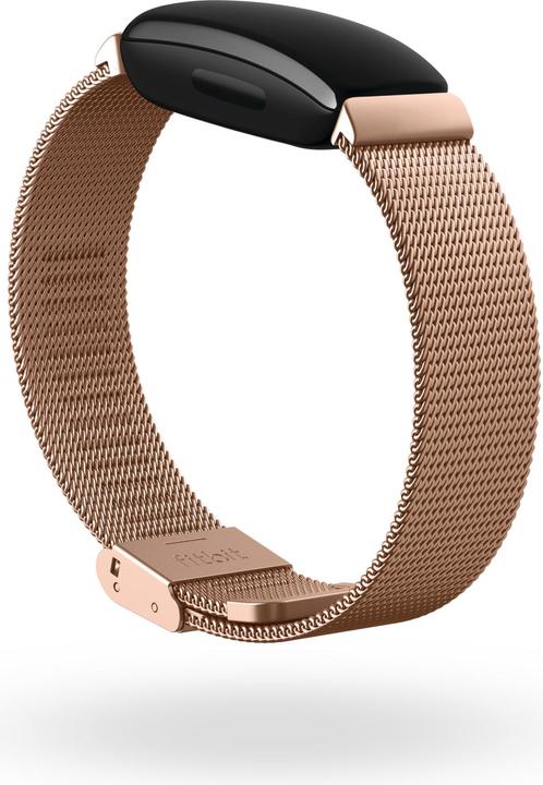Actual product image Fitbit Inspire 2 metal mesh bracelet (Metal)