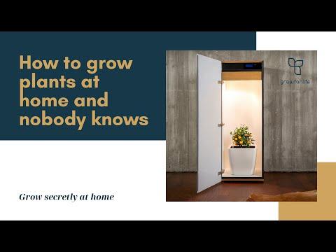 Produktbild Growfor.life Pflanzenschrank