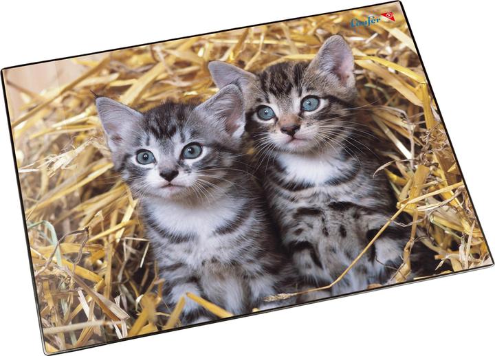 Image du produit Läufer Motif 40x53 chat/paille (53 x 40 cm)