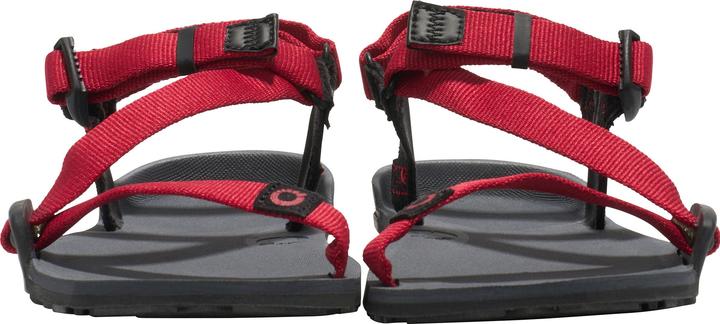 Actual product image Xero Shoes Z-Trail (34)