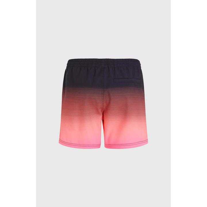 Actual product image O'Neill Jack Cali Gradient 15" Swim Shorts (L)