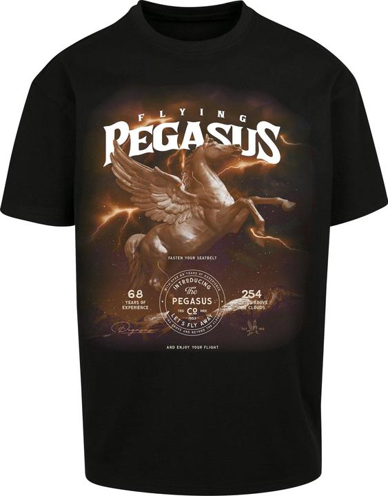 Image du produit MT Tee-shirt oversize Pegasus (L)