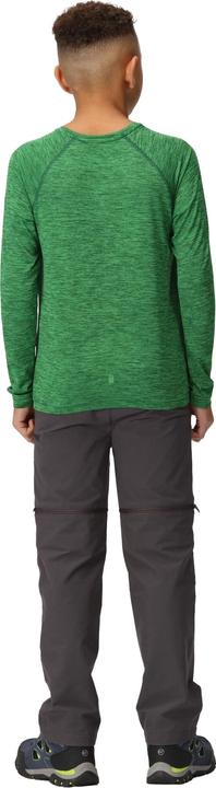 Actual product image Regatta Childrens/Kids Burnlee Roam Free Graphic Print Marl T-Shirt (128)
