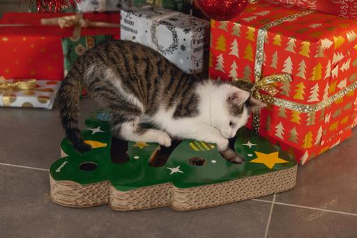 Productafbeelding Beeztees Kerst krasspeeltje (Krabspeeltje voor katten)