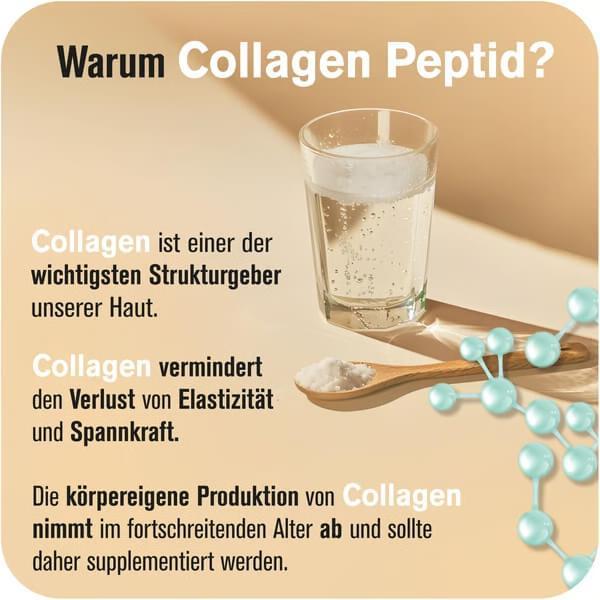 Produktbild All Stars Collagen Peptides (300g Dose) (1 Stück, Pulver, 300 g)