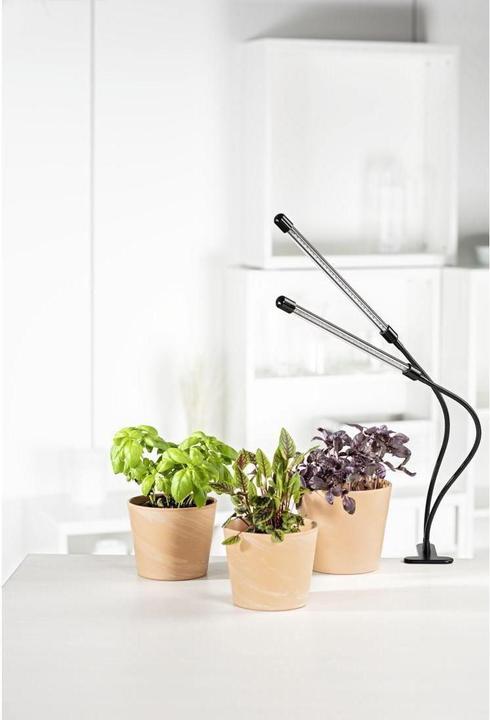 Immagine prodotto Xavax Bastone (LED, 5 V)