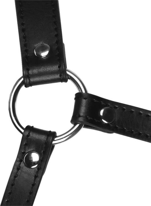Produktbild Ouch! Head Harness with Mouth Cover and Solid Ball Gag