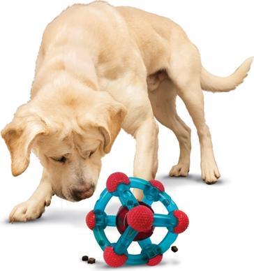 Actual product image KONG Rewards Treat Dispenser Tinker M/L (634.6178) (Dog food toy)