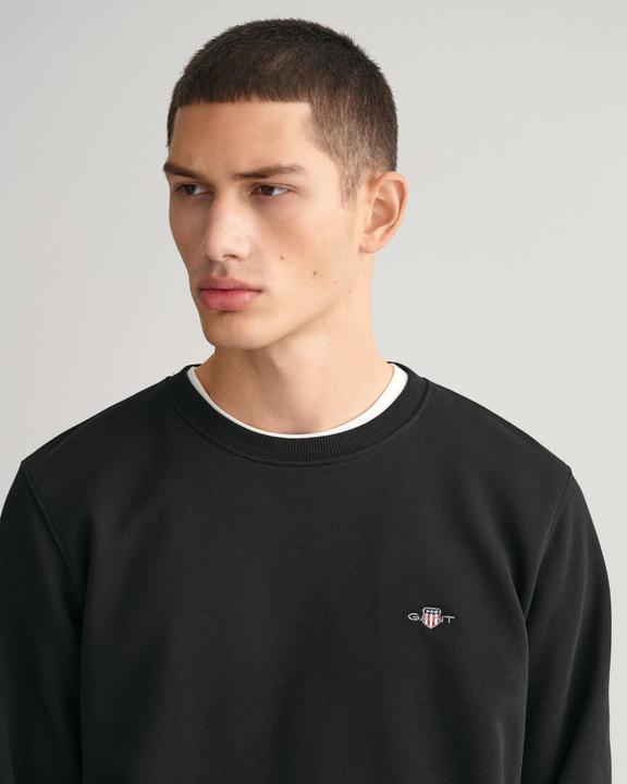 Actual product image GANT Regular (S)