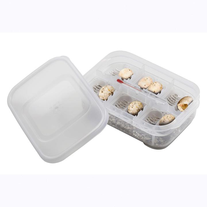 Produktbild Exo Terra Inkubations-Box