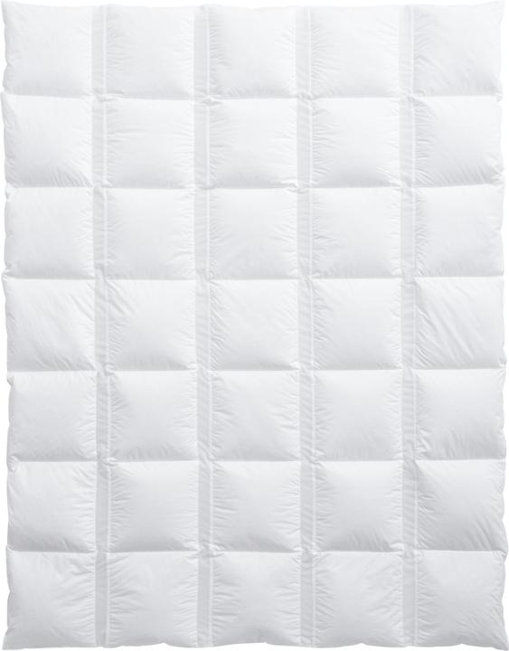 Produktbild Billerbeck Climabalance Classic (500 g, 160 x 210 cm)