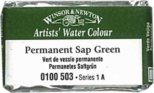 Actual product image Winsor & Newton Watercolour Artists (PY110, Pg36)