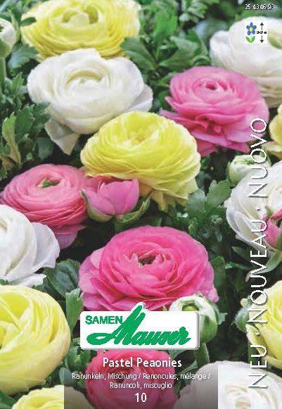 Produktbild Samen Mauser Ranunkeln Mischung (Pflanzensamen)
