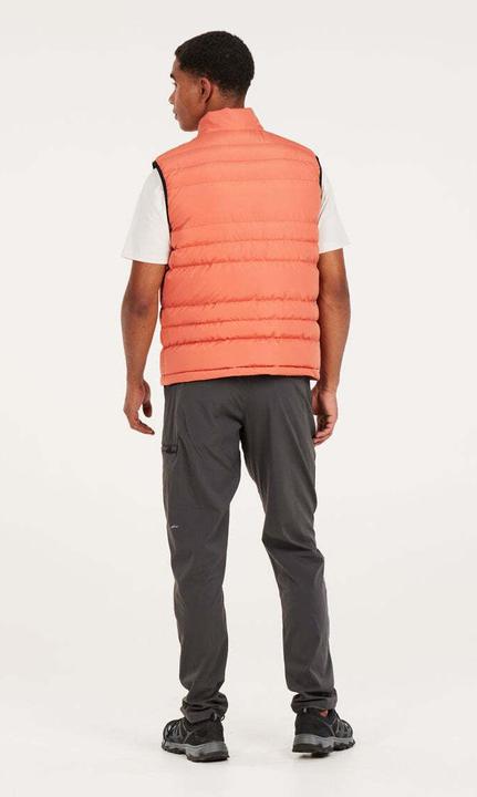 Actual product image Protest Bodywarmer Bramptoon (M)