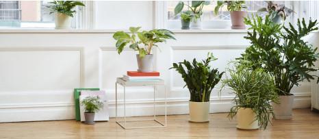 Actual product image HAY COFFEE TRAY TABLE side table light grey (60 x 60 x 39 cm)