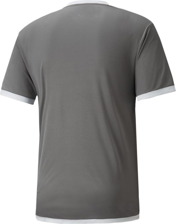 Actual product image Puma teamLIGA Jersey-704917 (M)