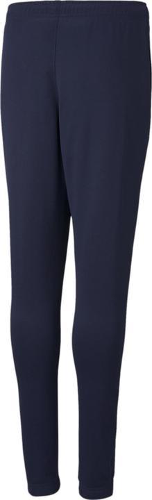 Actual product image Puma teamRISE Poly Trg Pants Jr-657391 (176)