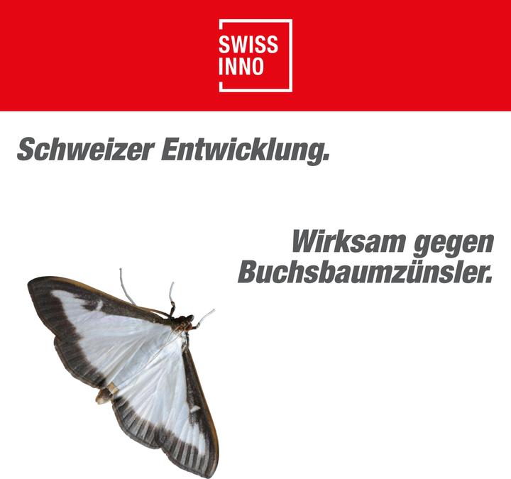 Produktbild Swissinno Buchsbaumzünsler-Falle inkl. 1x Pheromon