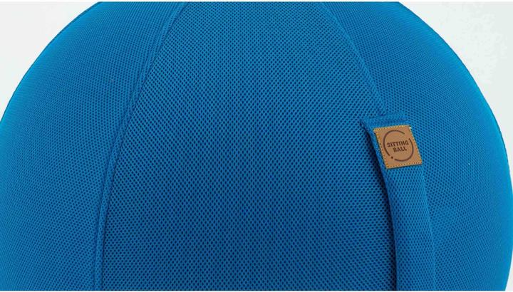 Actual product image Magma Seat ball mesh petrol (65 cm)
