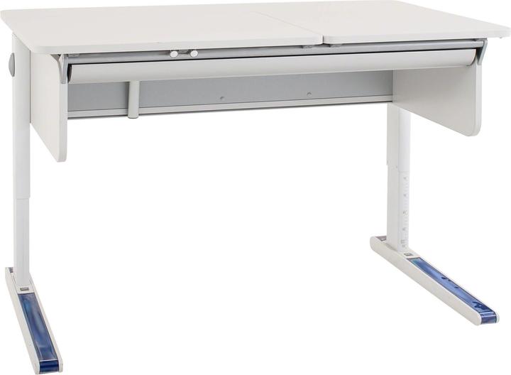 Actual product image Moll Champion desk