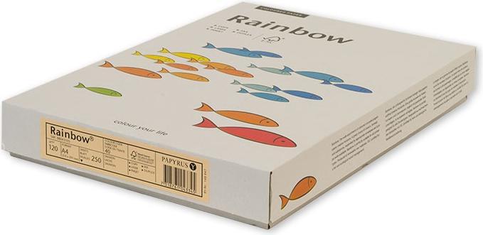 Immagine prodotto Rainbow Carta per fotocopie (120 g/m², 250 x, A4)