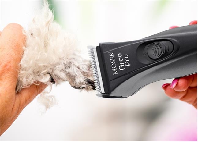 Produktbild Moser Arco Pro (Katze, Hund)