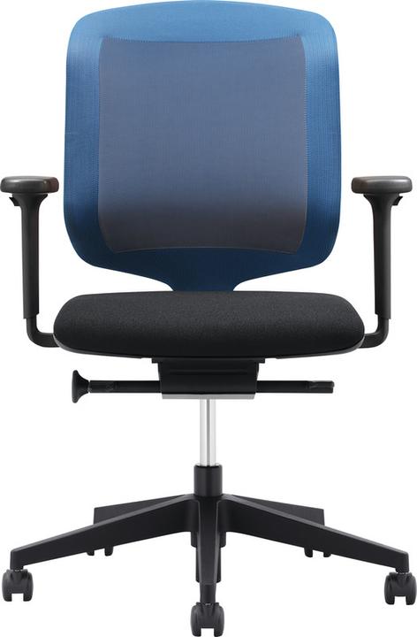 Giroflex 434-3019