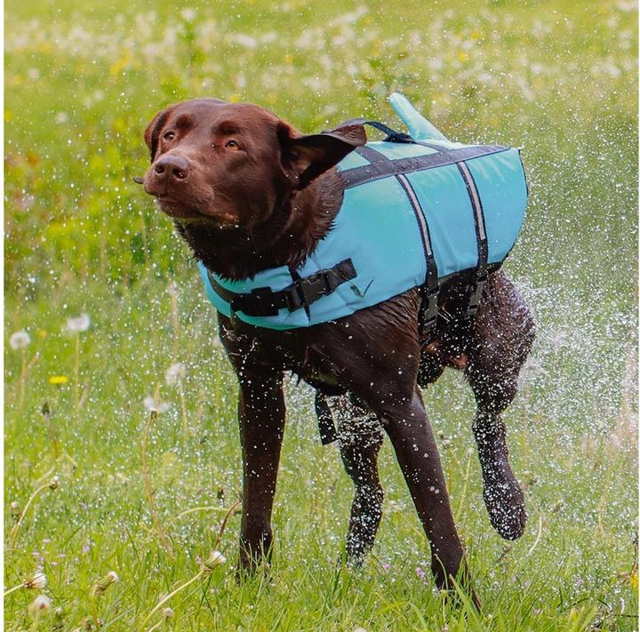 Image du produit Nobby Sharki (XS, Gilet pour chien)