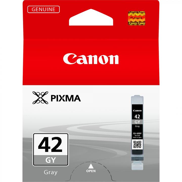 Actual product image Canon Cli-42gy (GY)
