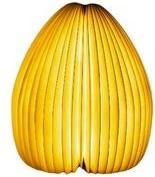 Image du produit Gingko Vase lumineux