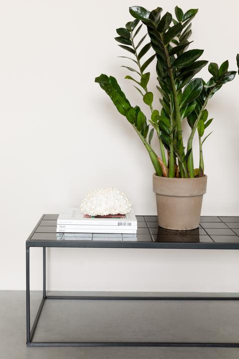 Productafbeelding Zuiver Geglazuurd (93 x 43 x 36 cm)