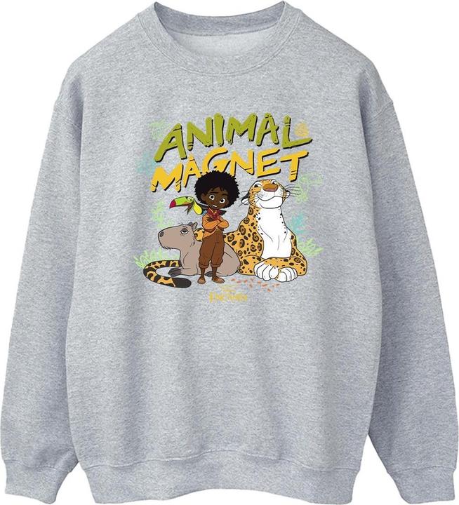 Disney Encanto Animal Magnet Sweatshirt (L)