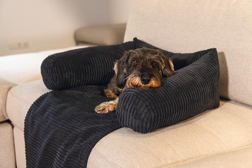 Actual product image Designed by Lotte Ribbed (Dog)