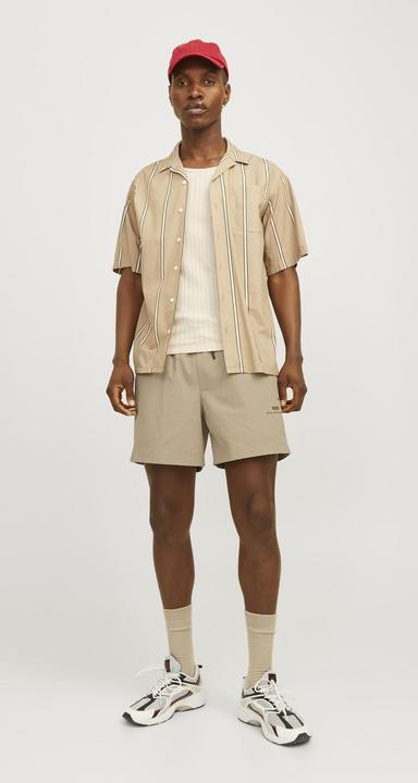 Actual product image Jack & Jones RDD Jogging Shorts (L)