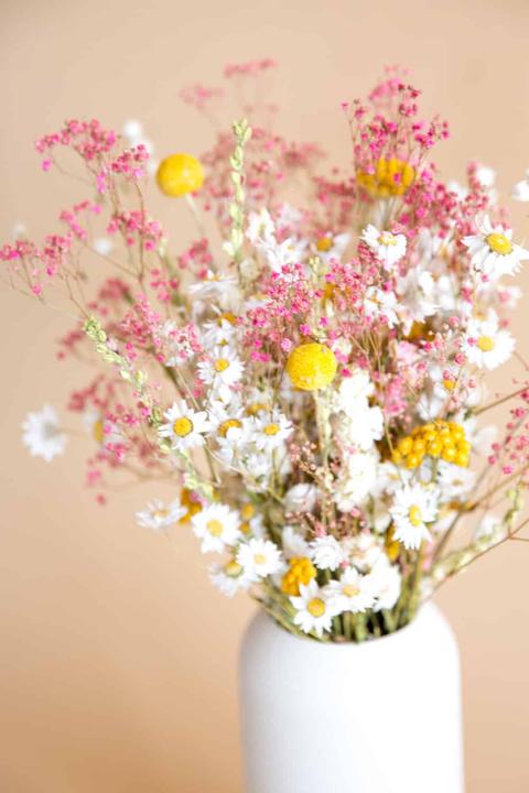 Produktbild la fleur douce Joyeux (Trockenblumen)