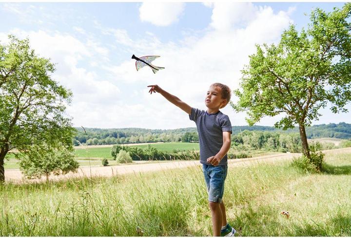Actual product image Haba Slingshot Glider