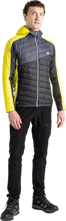 Immagine prodotto Dare2b Touring Giacca Imbottita Uomo (L)